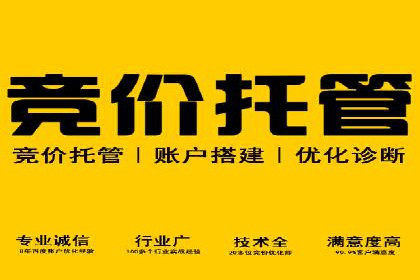 SEM运营策略案例分析